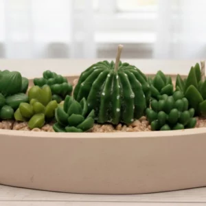 Handmade Succulent Candle Pot